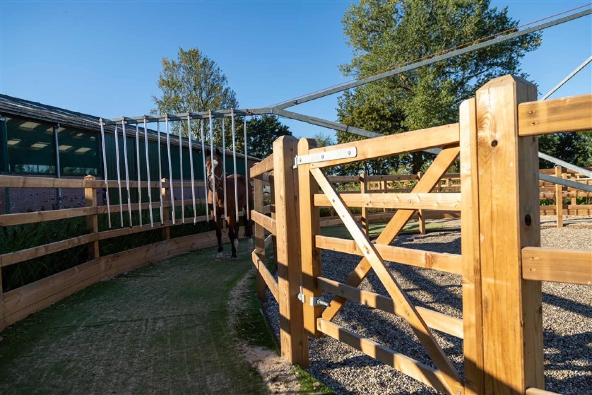 paardenomheining gemeente montferland (23)