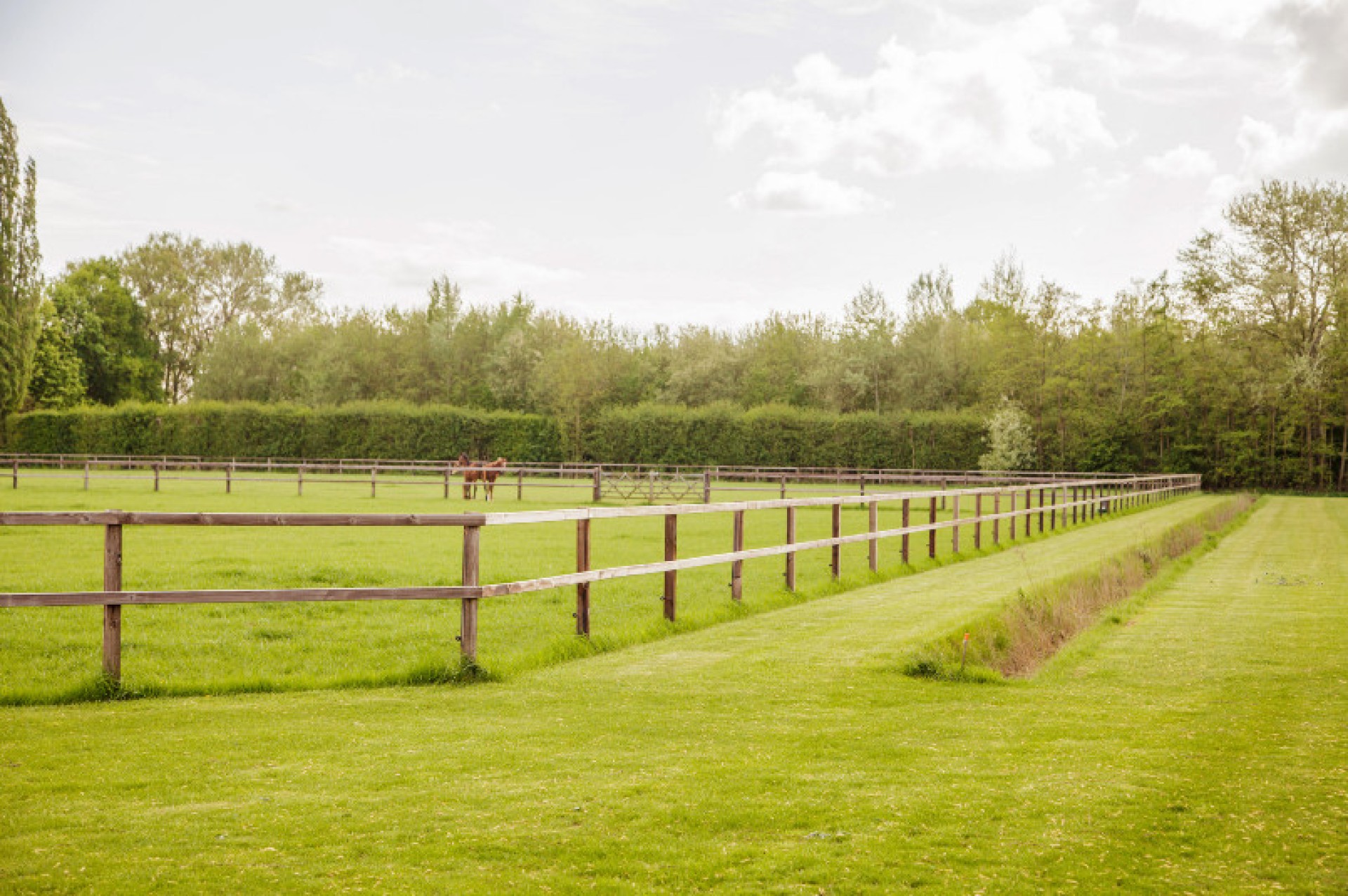 Stal Heilweg Loo (21)gewone afbeelding site 