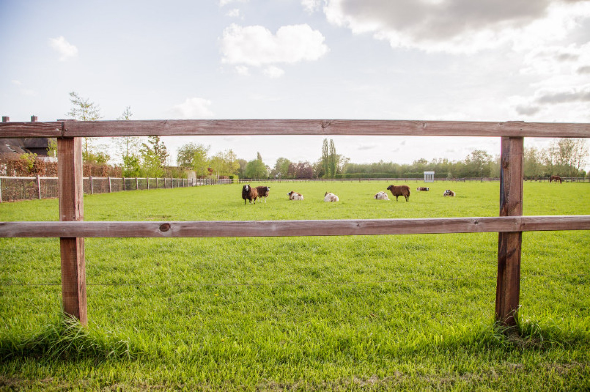 Stal Heilweg Loo (4)gewone afbeelding site 