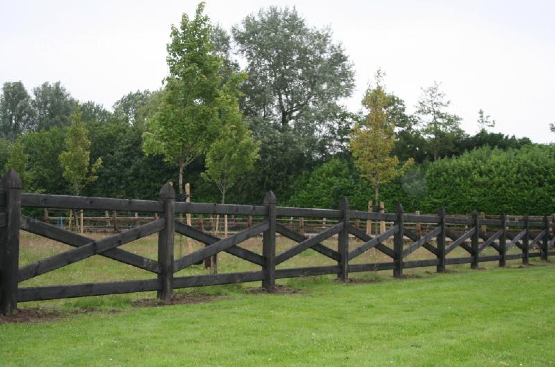 Xcellent Black Cross Fence (1)